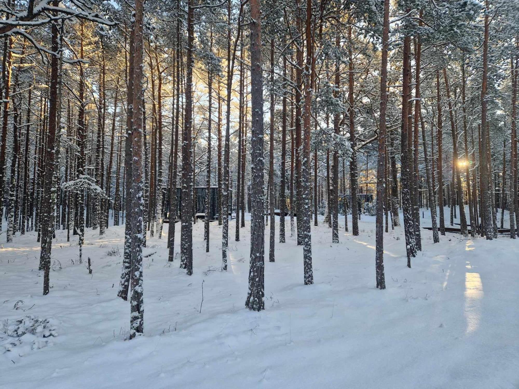 Oeoed Hoetels Lohusalu Leida & Enno Laulasmaa Exterior photo